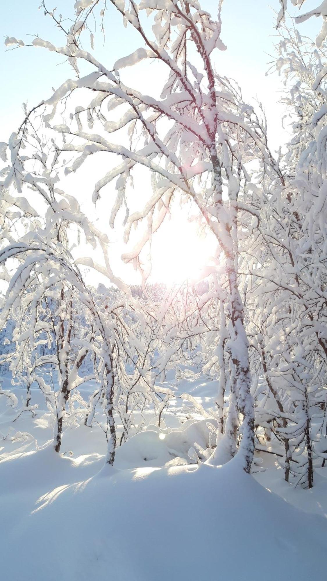 Majatalo Jurtta Rautuskylä Exterior foto